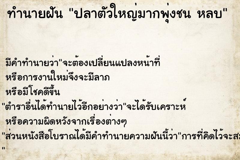 ทำนายฝัน ปลาตัวใหญ่มากพุ่งชน หลบ